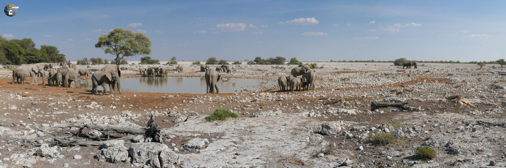 Okaukuejo waterhole
