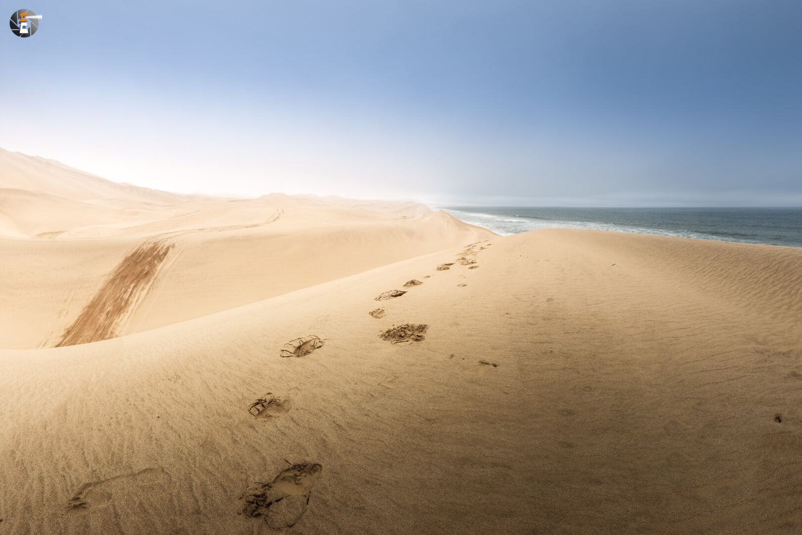 Where the desert meets the ocean