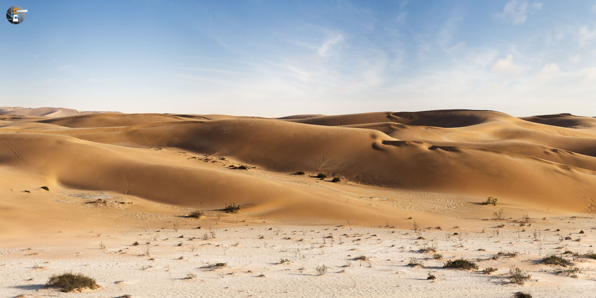 At the edge of the Namib