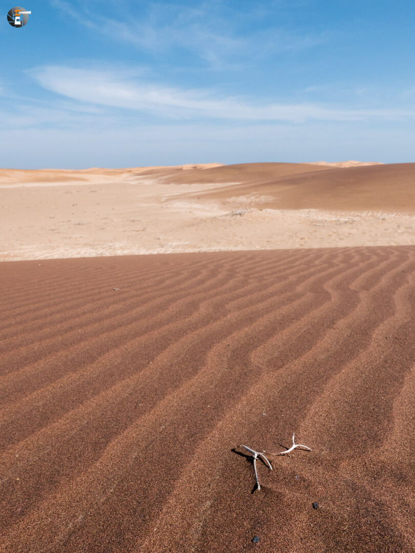 Namib Sand