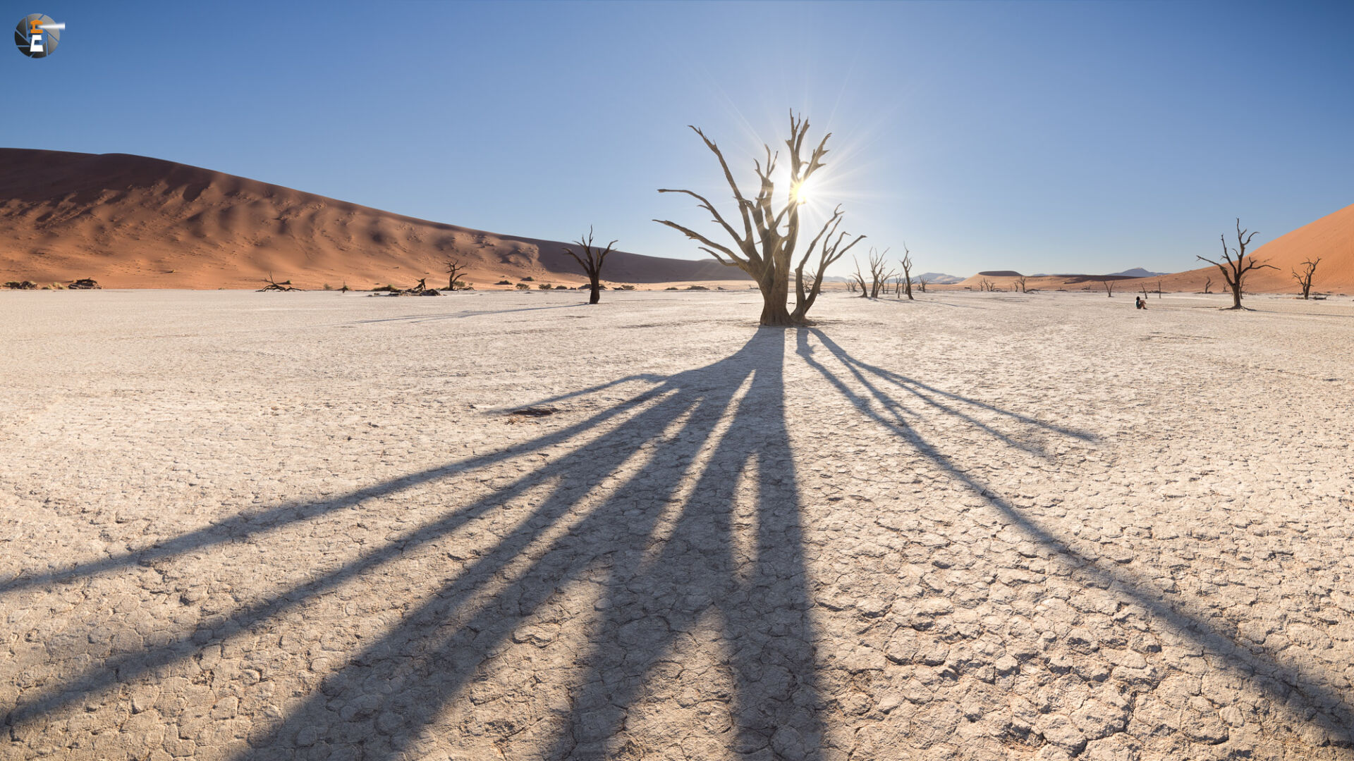 Alone in the Dead Vlei