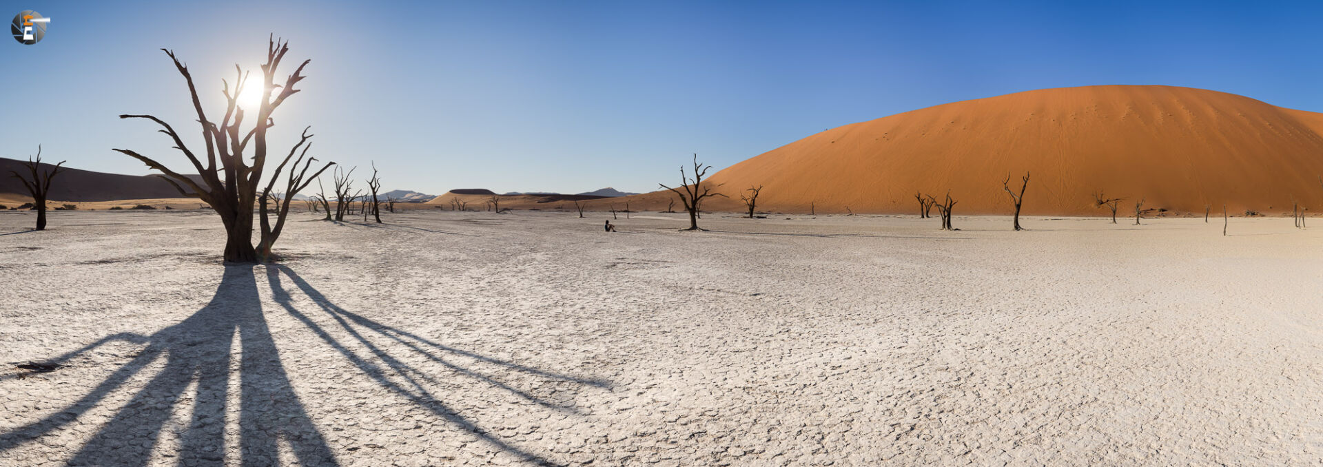 Dead Vlei