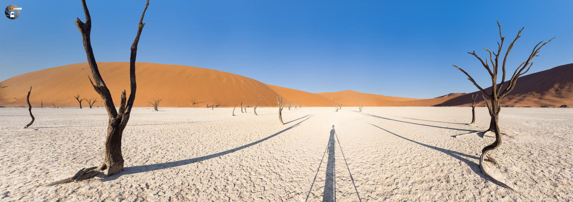 With the sun in the back