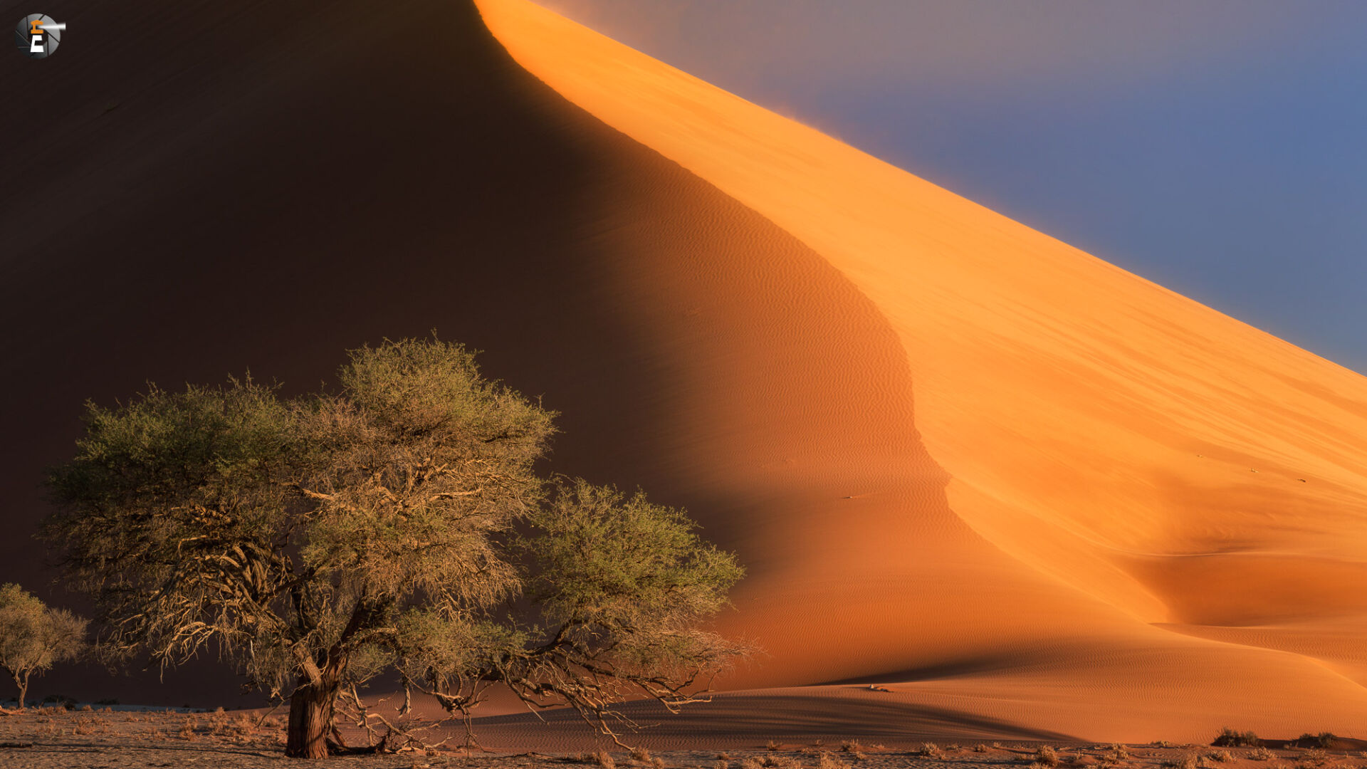 Glowing Dune