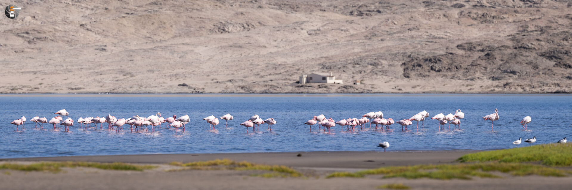 Strawberry chicken at Lüderitz Bay