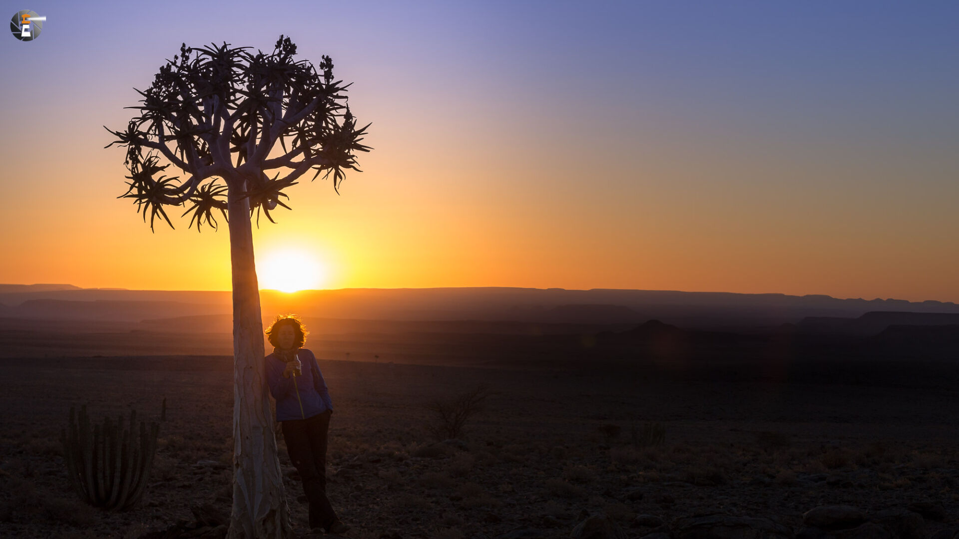 Sundowner under a quiver tree