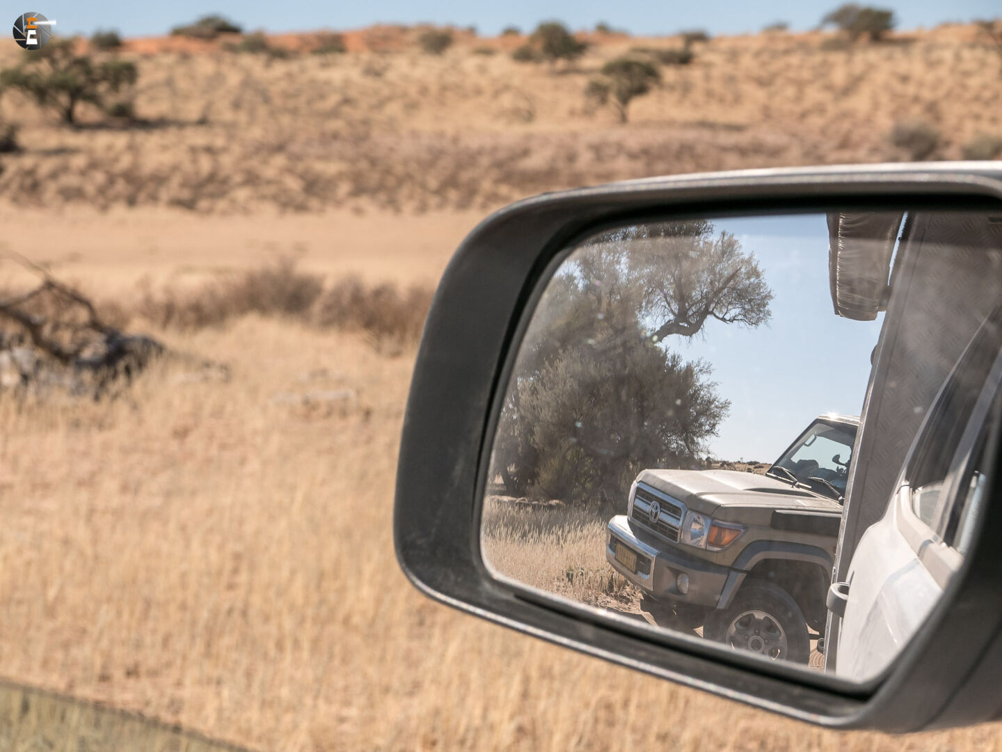 Im Rückspiegel sind Löwen zu sehen…