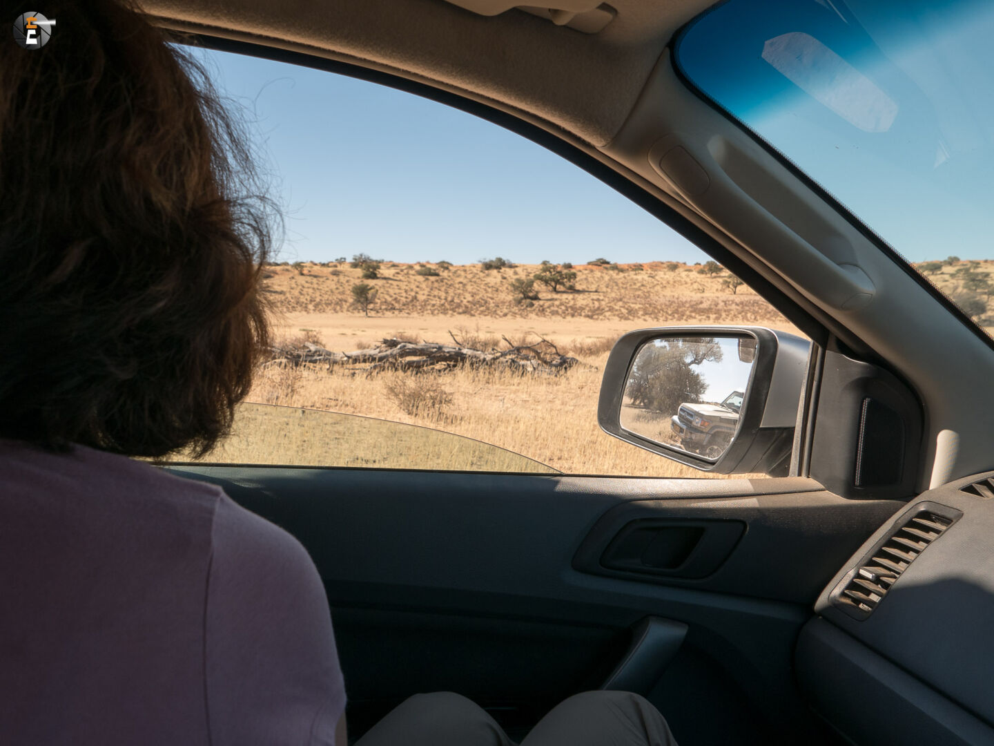 Im Rückspiegel sind Löwen zu sehen…