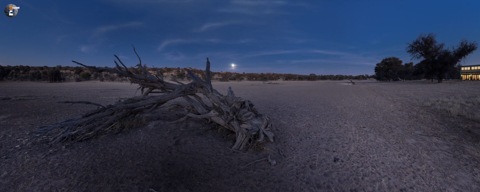 Ausblick im Mondschein