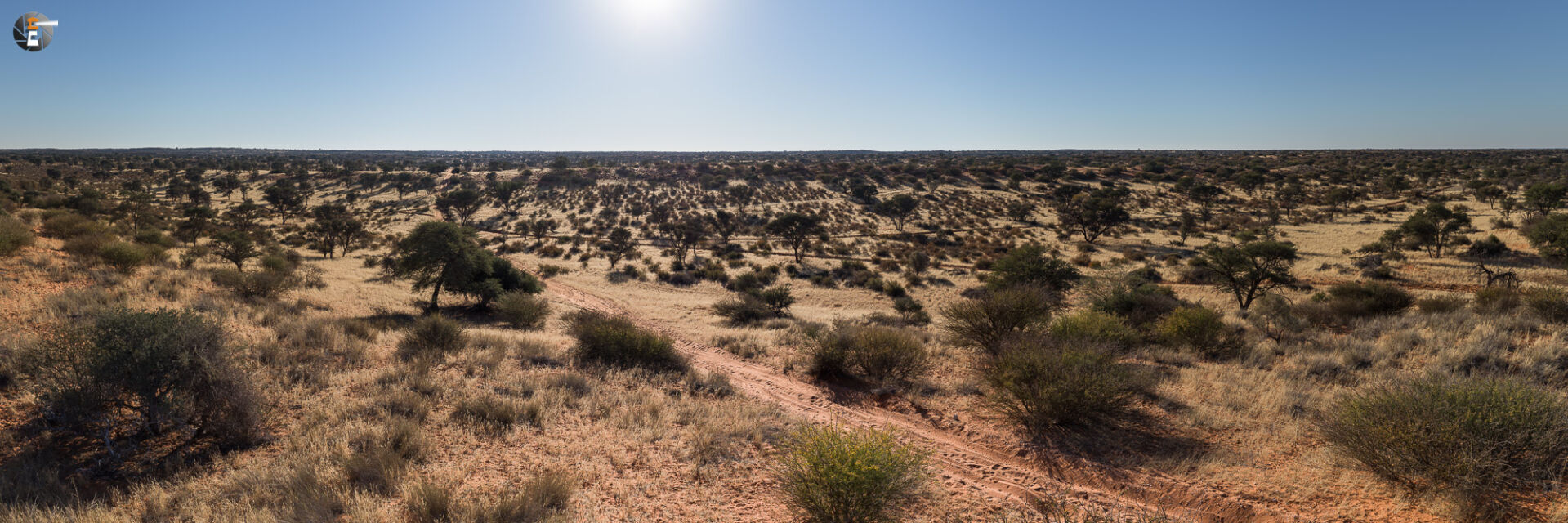 Kalahari in morning light