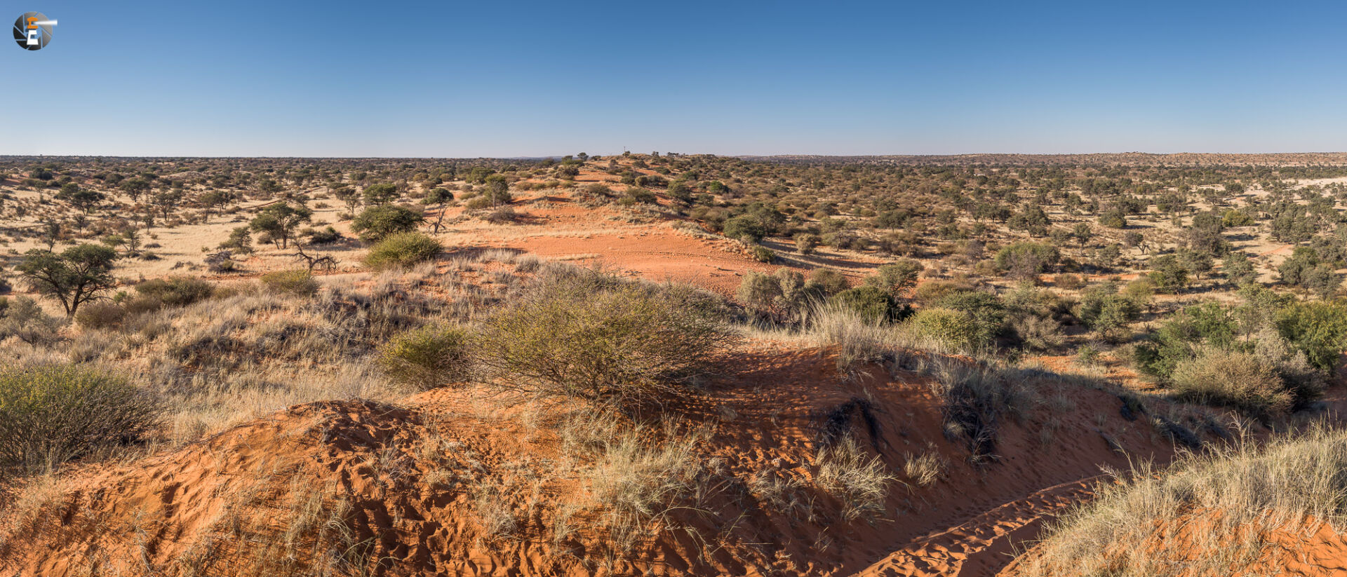 Kalahari im Morgenlicht