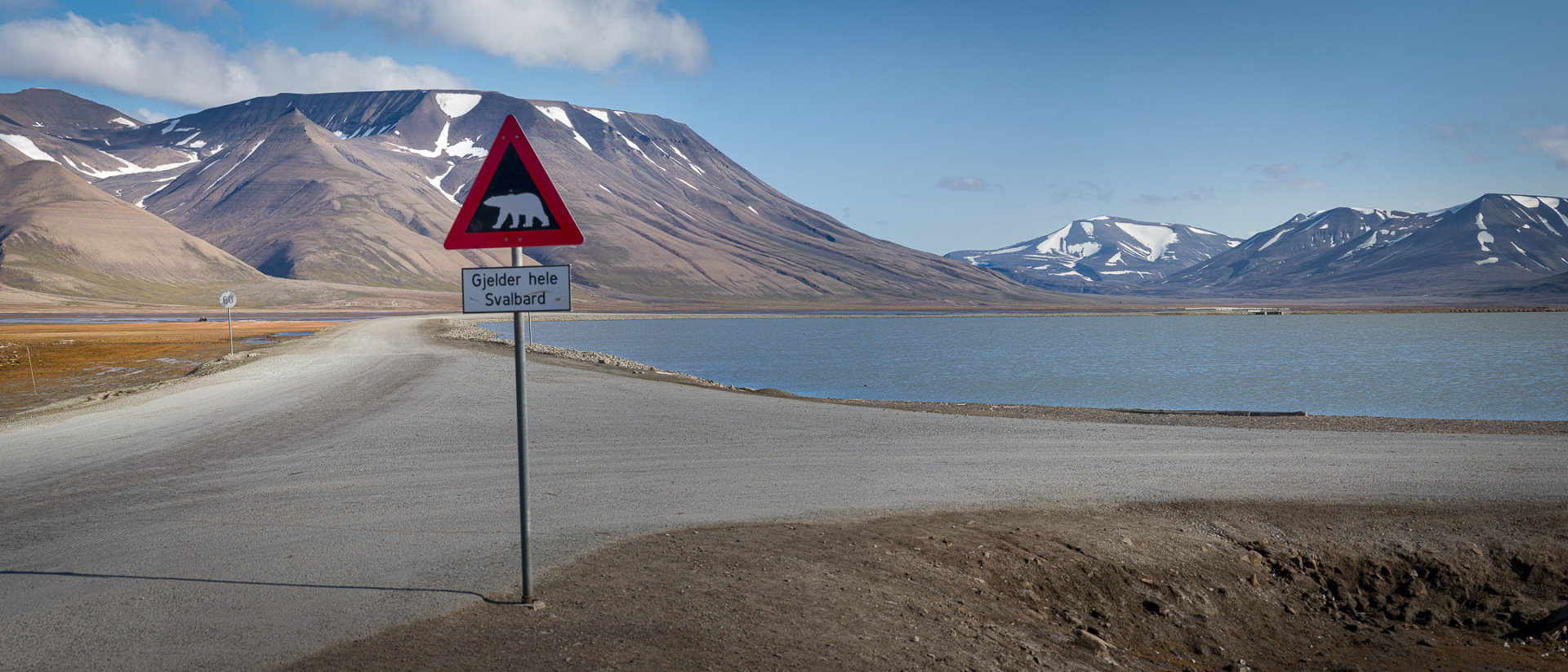 Beware of polar bears!