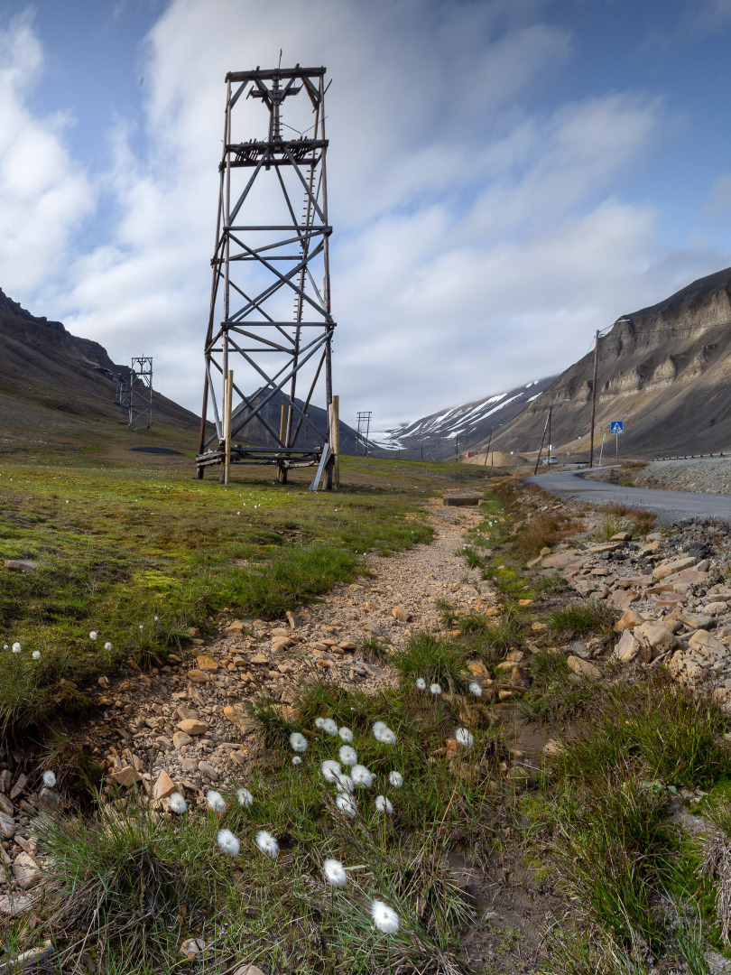Ruins of coal mining cableway