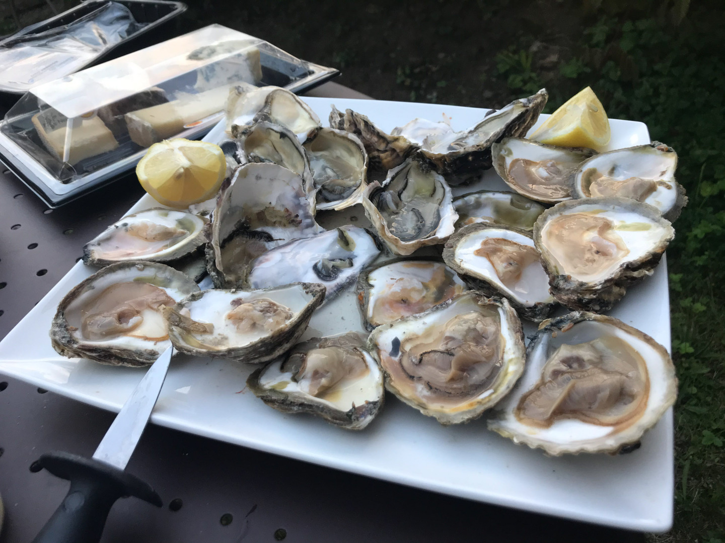 Huites plates et creuses