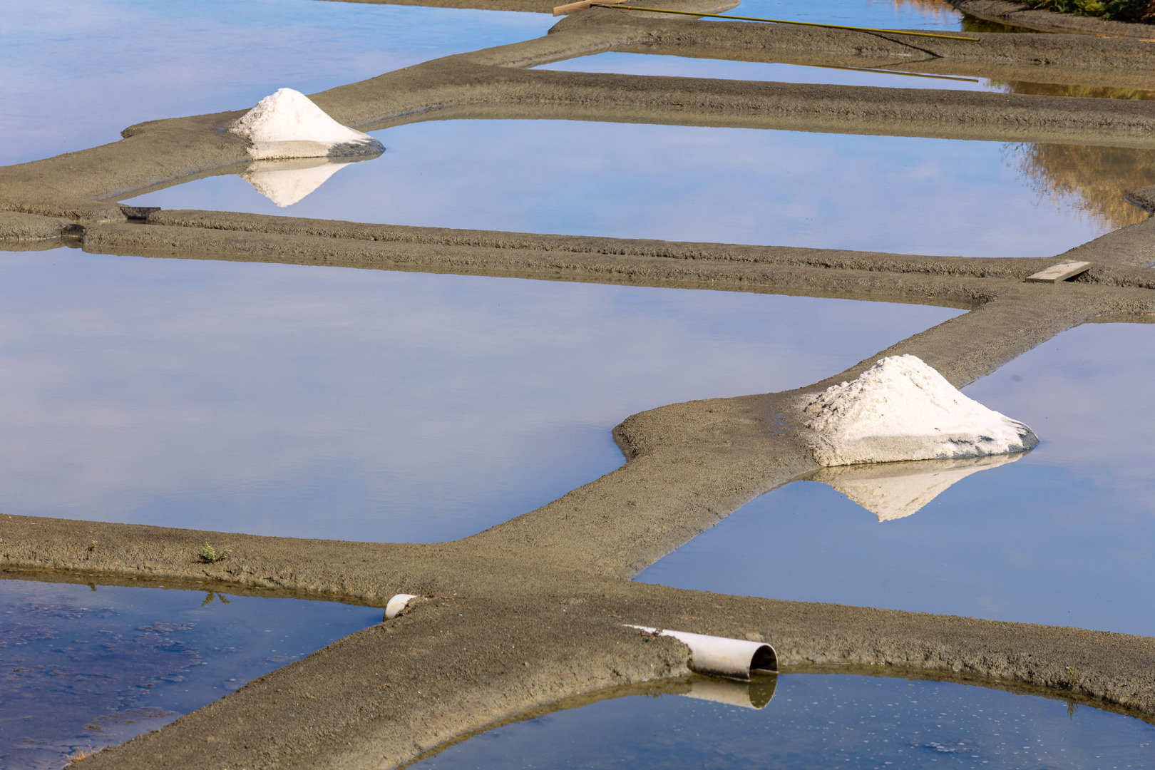 Salzfelder in der Guérande