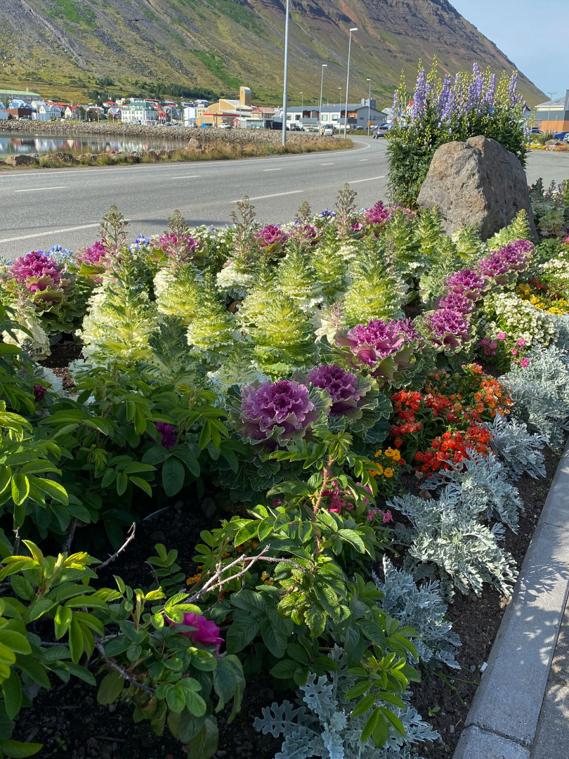 Kohlrabatte in der Stadt