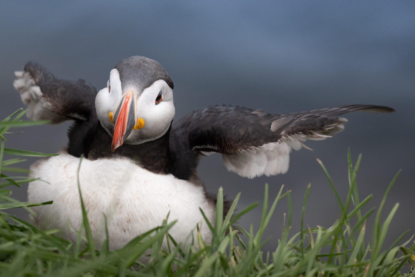 Vestfirðir /Iceland