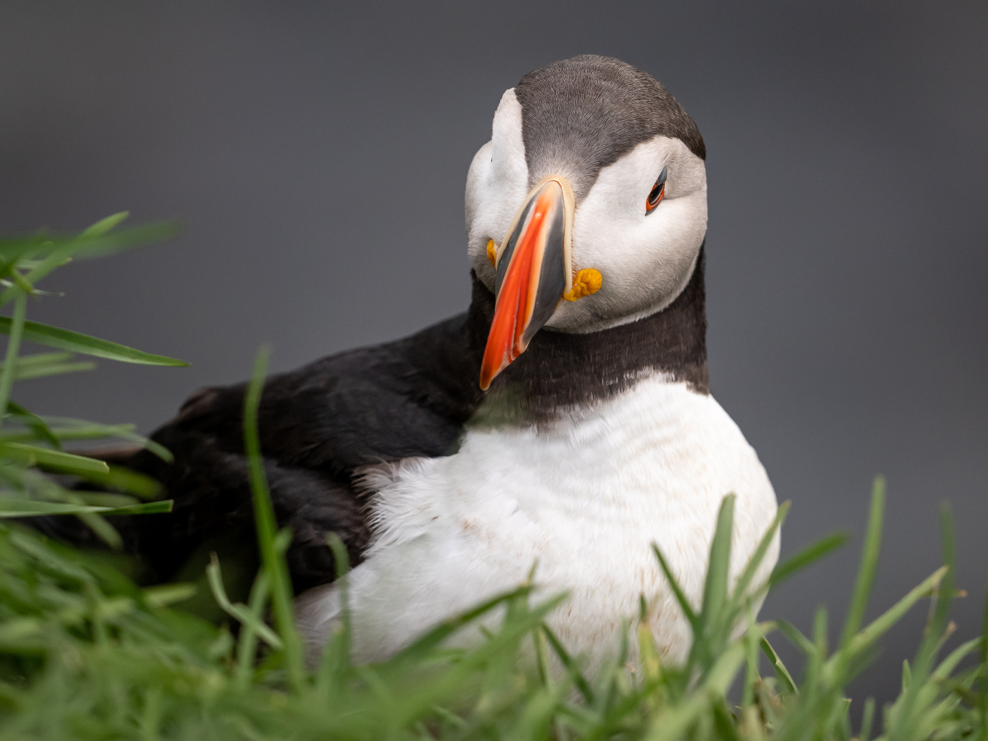 Vestfirðir /Iceland