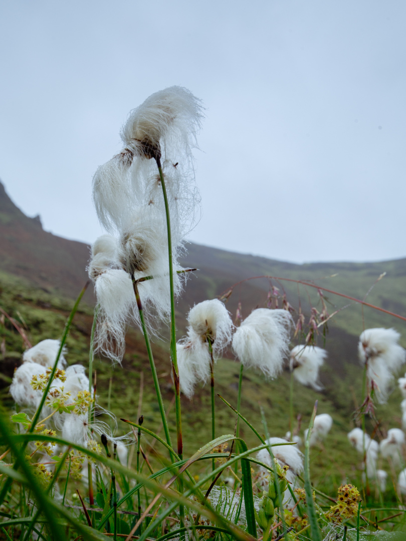Suðurland / Iceland