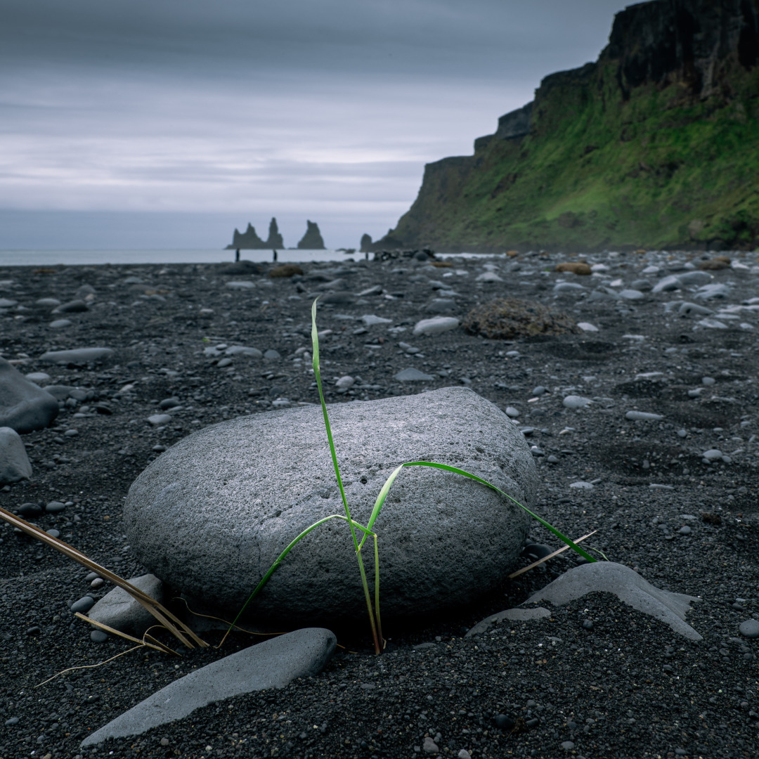 An der Reynisfjara, im Hintergrund die Reynisdrangar