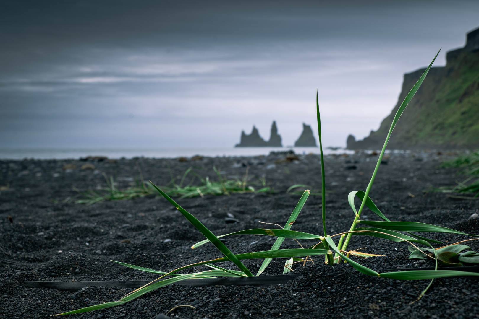 An der Reynisfjara, im Hintergrund die Reynisdrangar