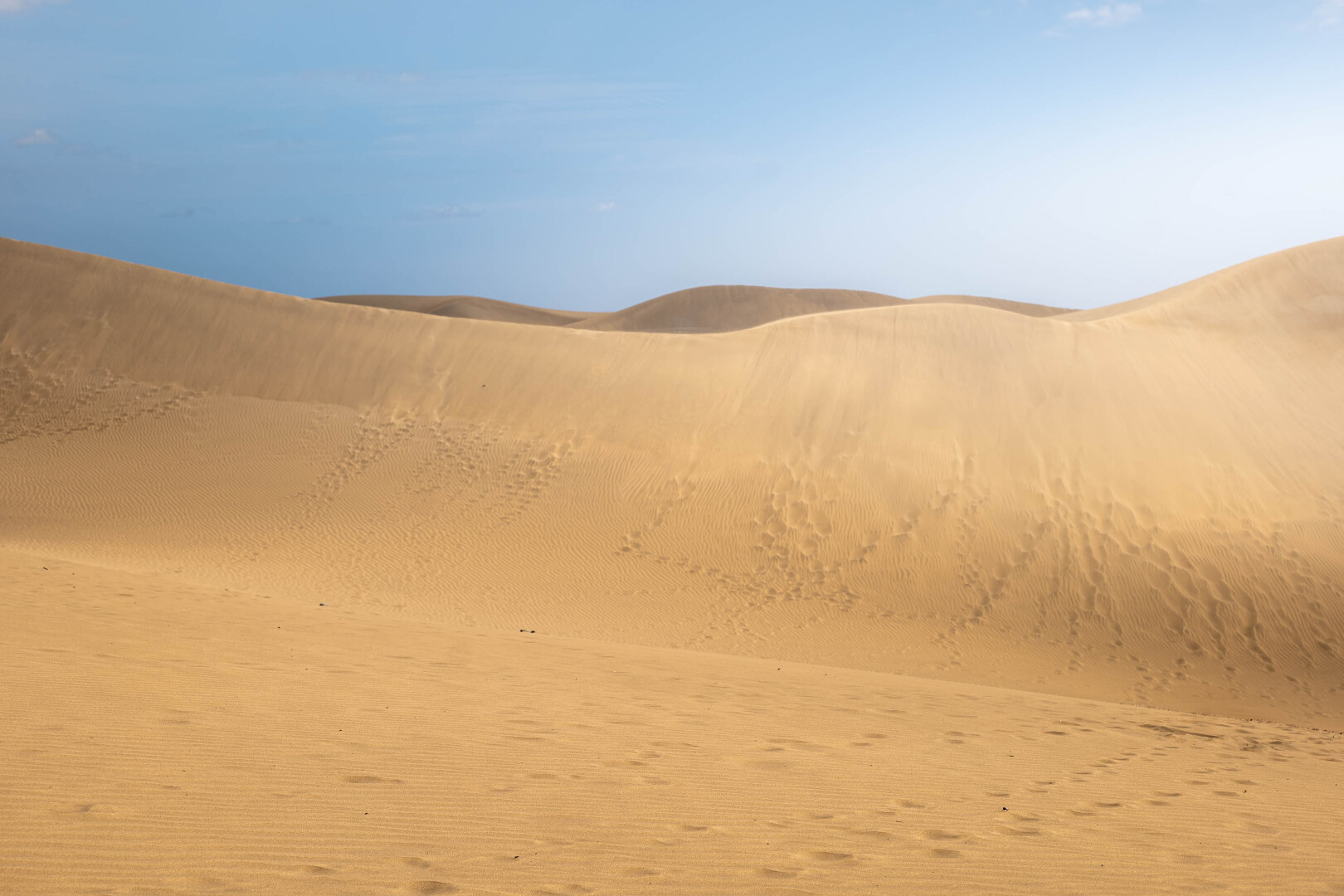 Dünen von Maspalomas