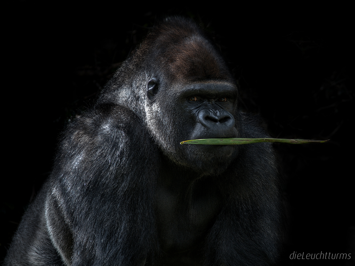 Always observe what you are doing!