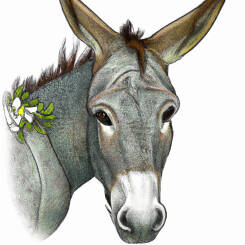 Alfons Maria Mucha – 08