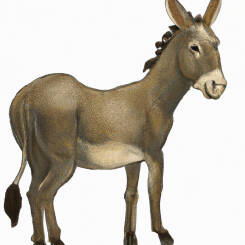 Alfons Maria Mucha – 21