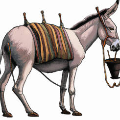 Alfons Maria Mucha – 43