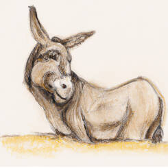 Alfons Maria Mucha – 45