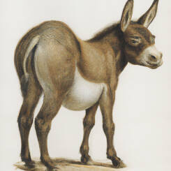 Alfons Maria Mucha – 88