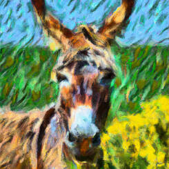 Vincent Van Gogh – 13