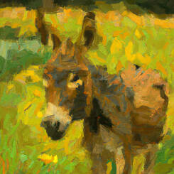 Vincent Van Gogh – 27