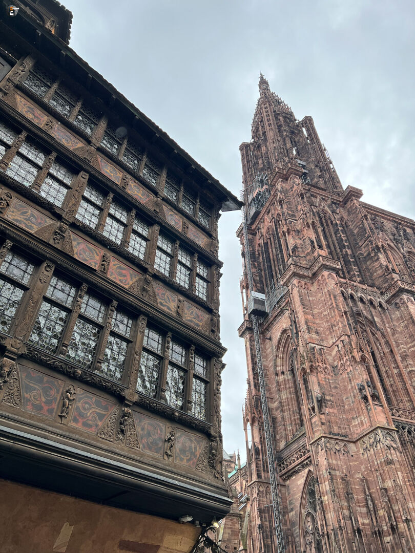 Cathédrale Notre Dame de Strasbourg